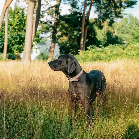 בית נופש Luxury With Lagoon View In Loddin