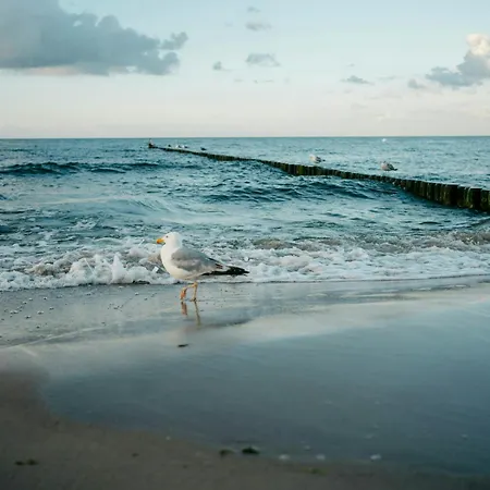 בית נופש Luxury With Lagoon View In Loddin