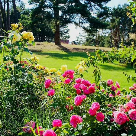 Luxury With Lagoon View In Loddin Holiday home Kolpinsee